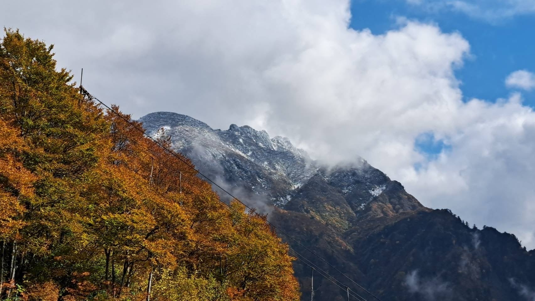 【八海山ロープウェー】山全体の紅葉が見頃ピークに！雲海とのコラボレーションも。【運行期間】2025年11月16日(日)まで