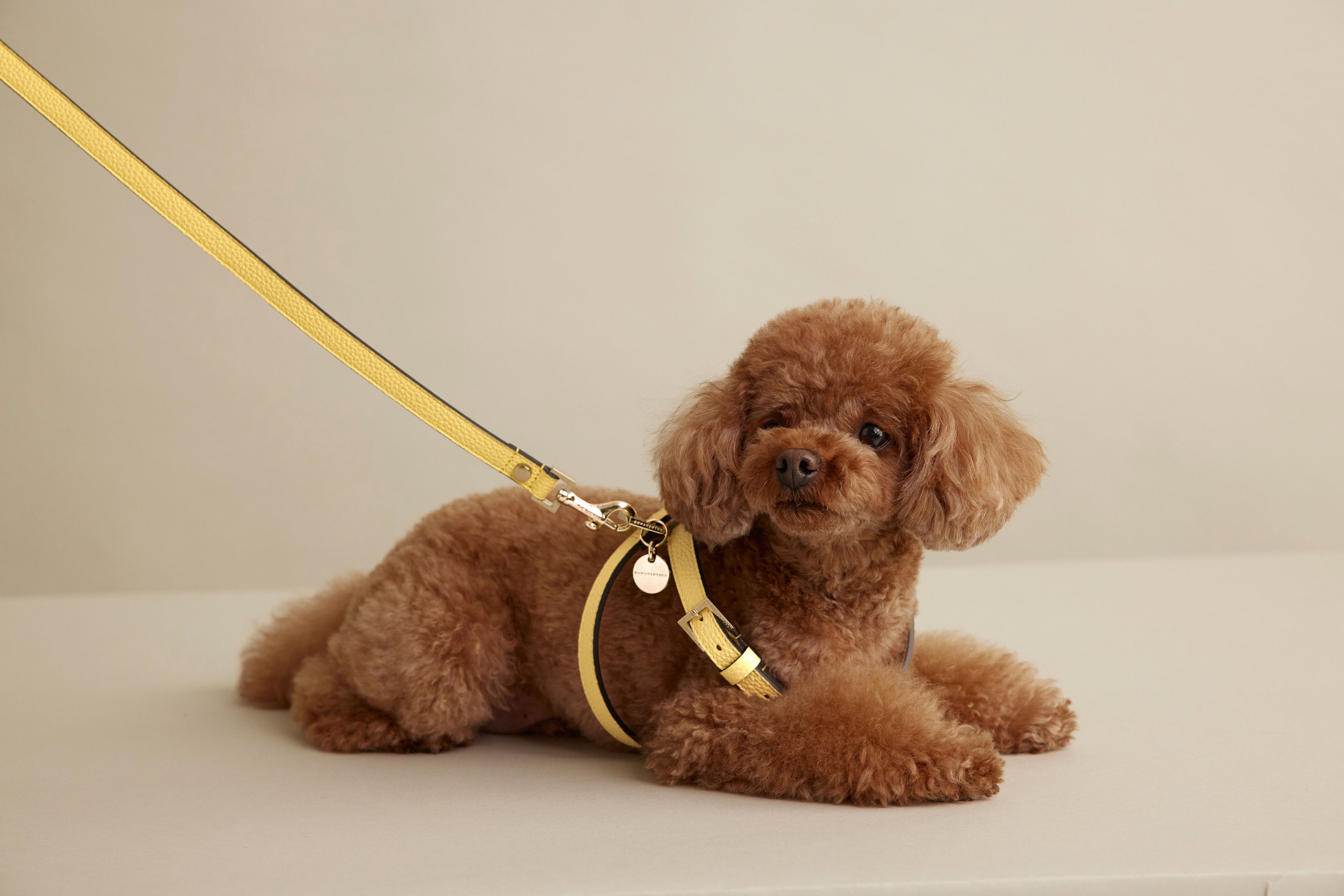 ボナベンチュラ シューホーン bonaventura shoehorn エトープ