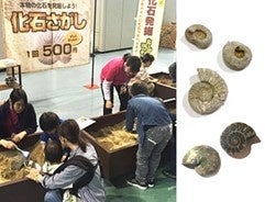 「DINO SAFARI 2023」最新情報!ワークショップエリア初の大規模開催決定!元AKB48メンバーもナビゲーターに!恐竜ファン必見の体験型ライブエンターテインメント! 「DINO SAFARI 2023」最新情報!ワークショップエリア初の大規模開催決定!元AKB48メンバーもナビゲーターに!恐竜ファン必見の体験型ライブエンターテインメント!