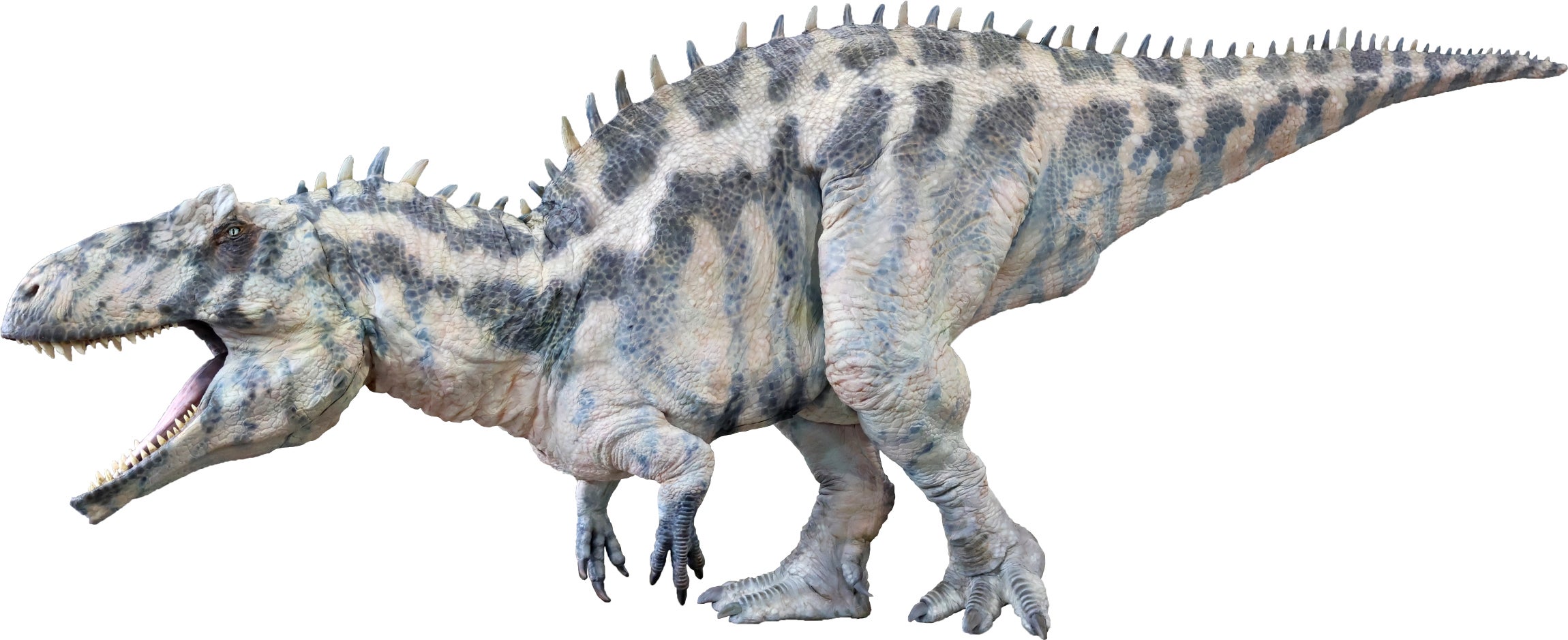 本日からチケット一般販売スタート!! DINO SAFARI史上最多の15頭の恐竜 本日からチケット一般販売スタート!! DINO SAFARI史上最多の15頭の恐竜