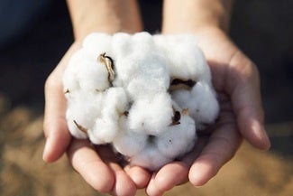 CopyrightⒸ2012 avanti inc.