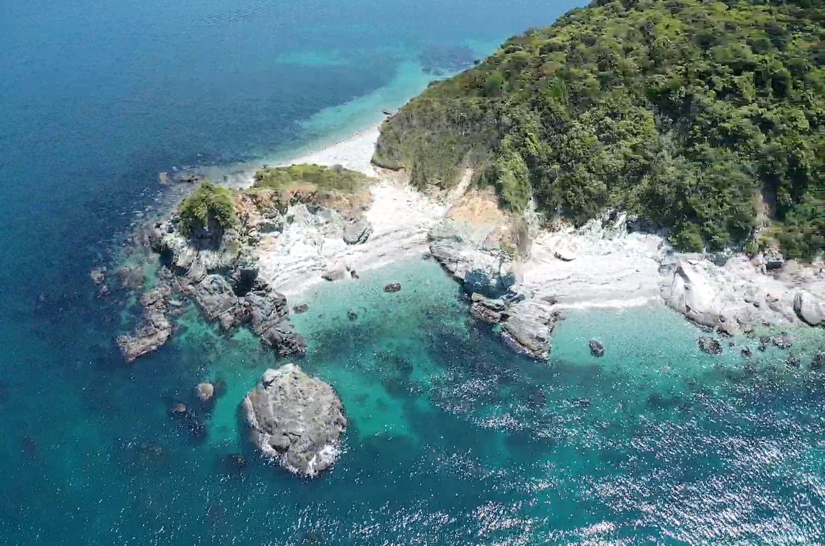 一番人気サバイバルエリア！