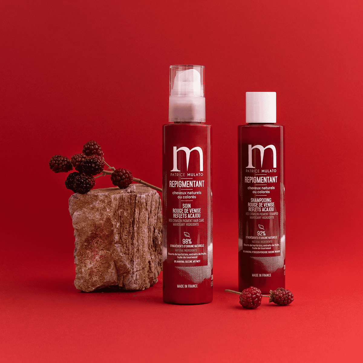 フランスのヴィーガンのヘアカラー『PATRICE MULATO』