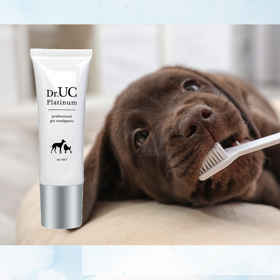ペット用歯磨き『DR UC』