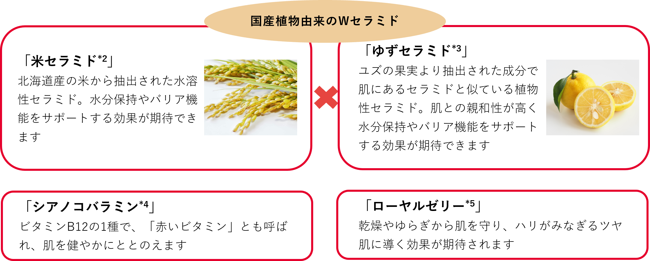 ENRADIANCE IPS細胞培養スーパーエッセンス 3本セット top-essence.jpg?fitin=272:272