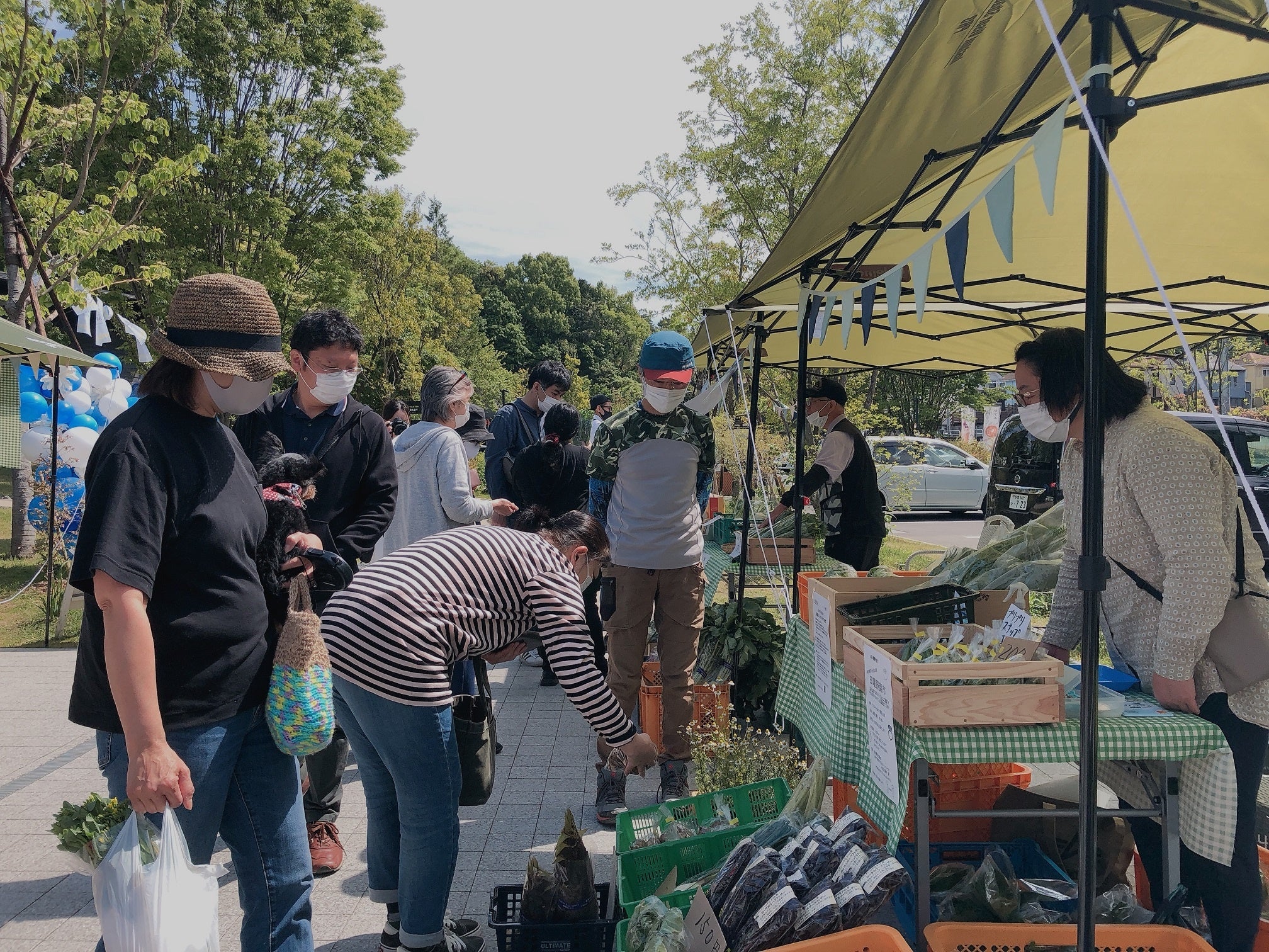 生産者さんから直接購入できるのも楽しみの一つ