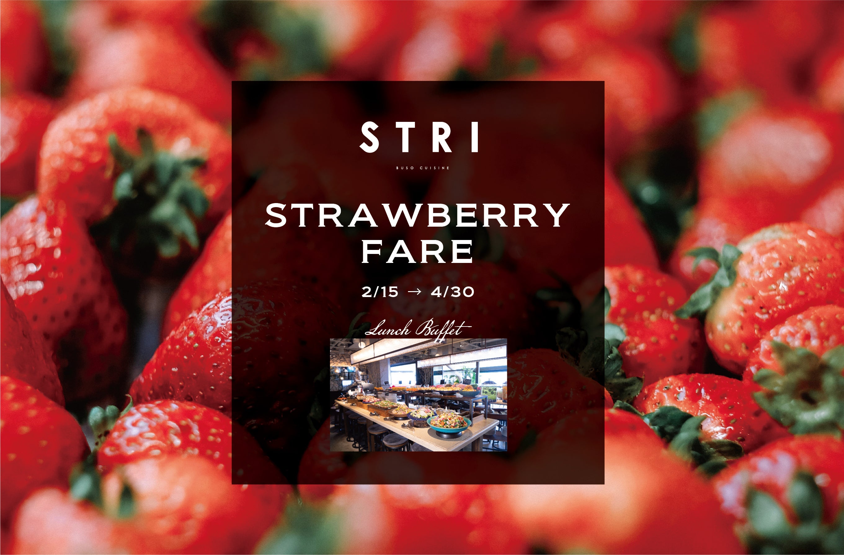 STRI「いちごフェア」写真と実際の商品とは異なる場合があります