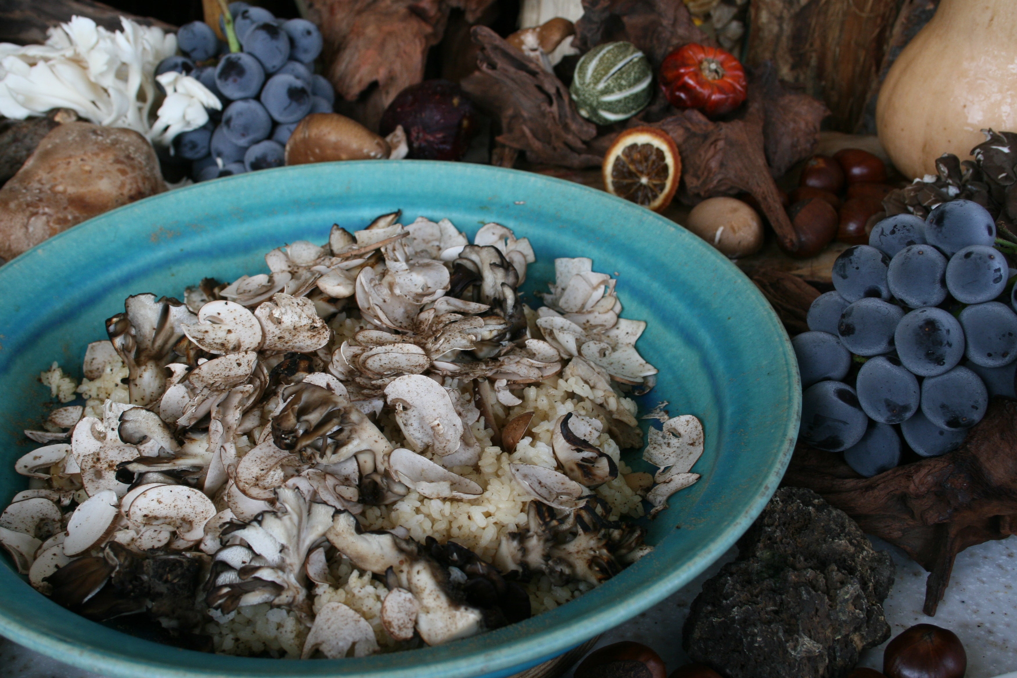 4種のキノコピラフ