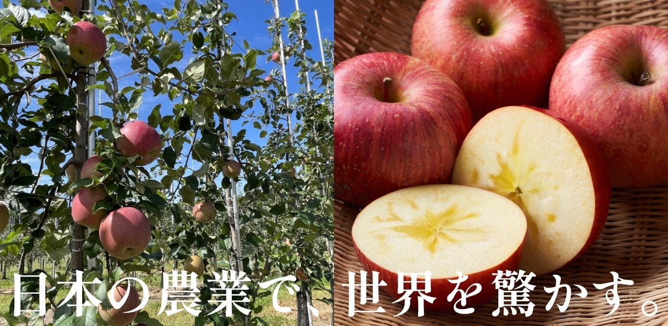 日本の農業とTPPに関する書籍セット TPPが日本農業を強くする | 山下 一仁 |本 | 通販 | Amazon