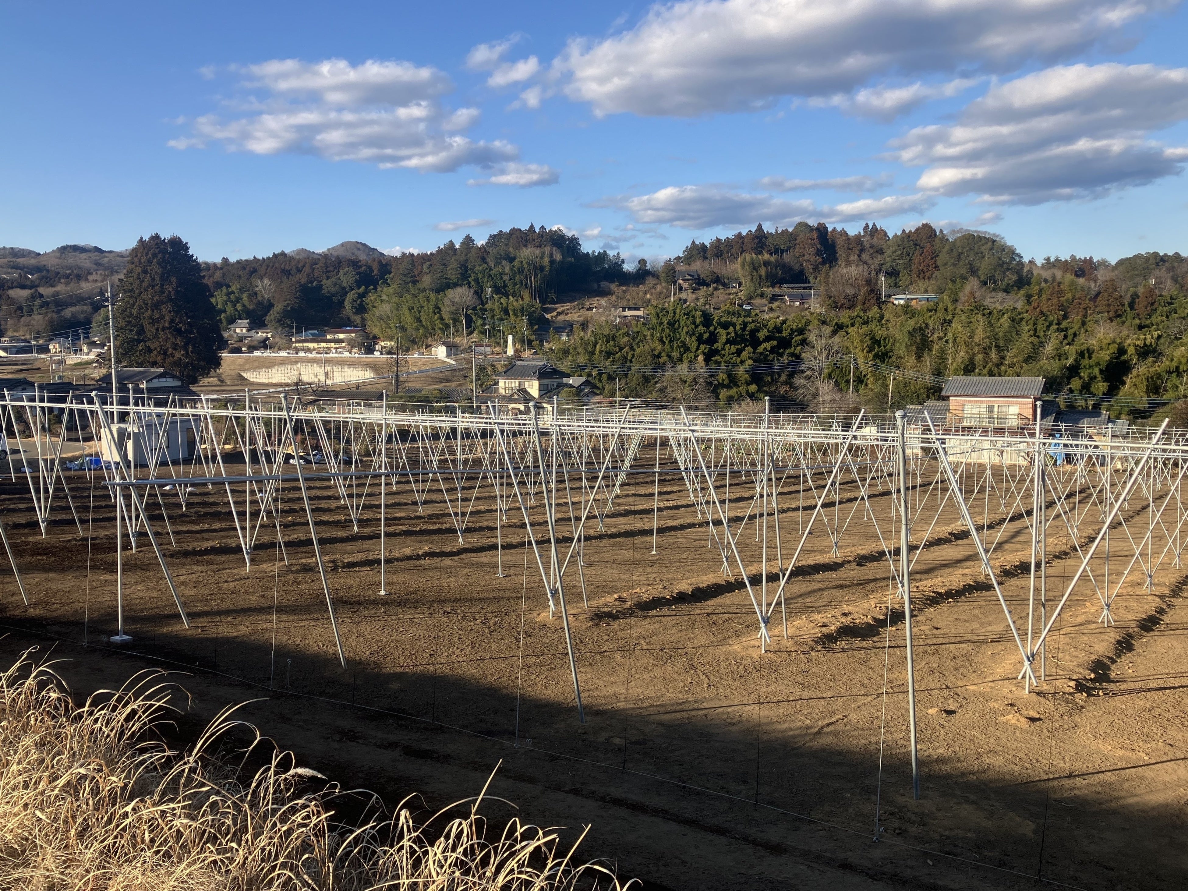 城里町錫高野地区で日本農業が運営するなし・もも圃場