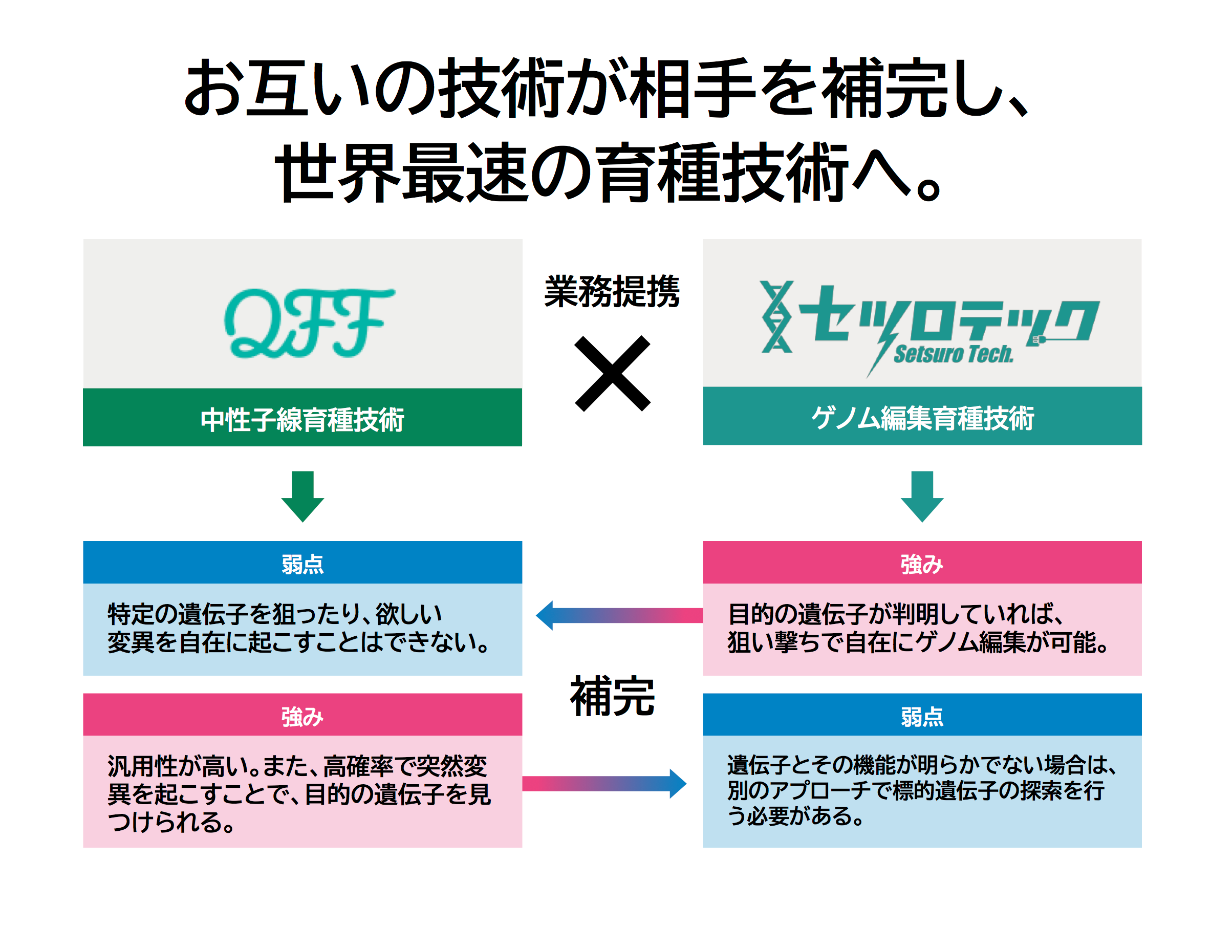 セツロテック、クォンタムフラワーズ＆フーズと業務提携 | 株式会社