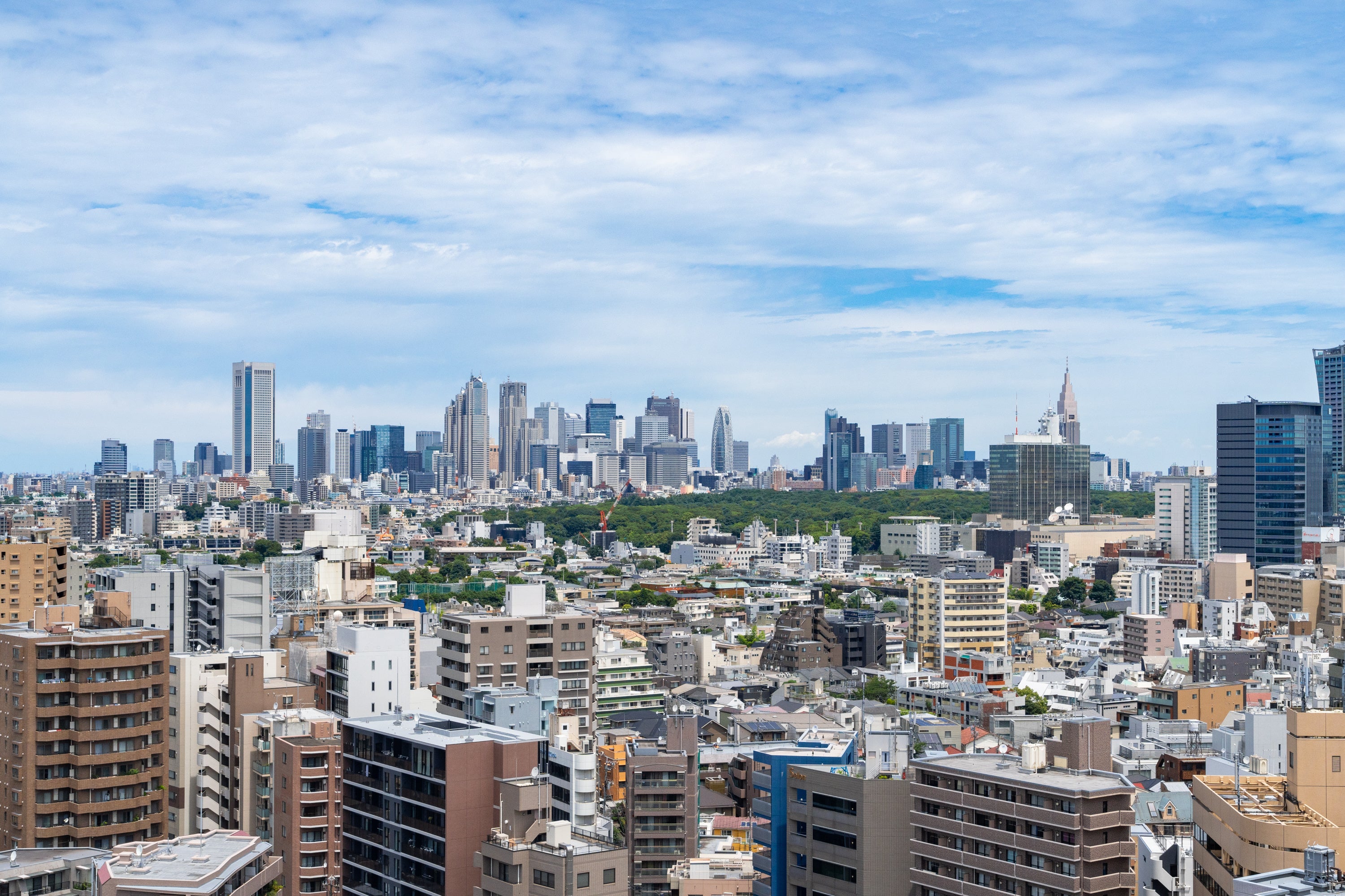 Hilltop terraceからの眺望