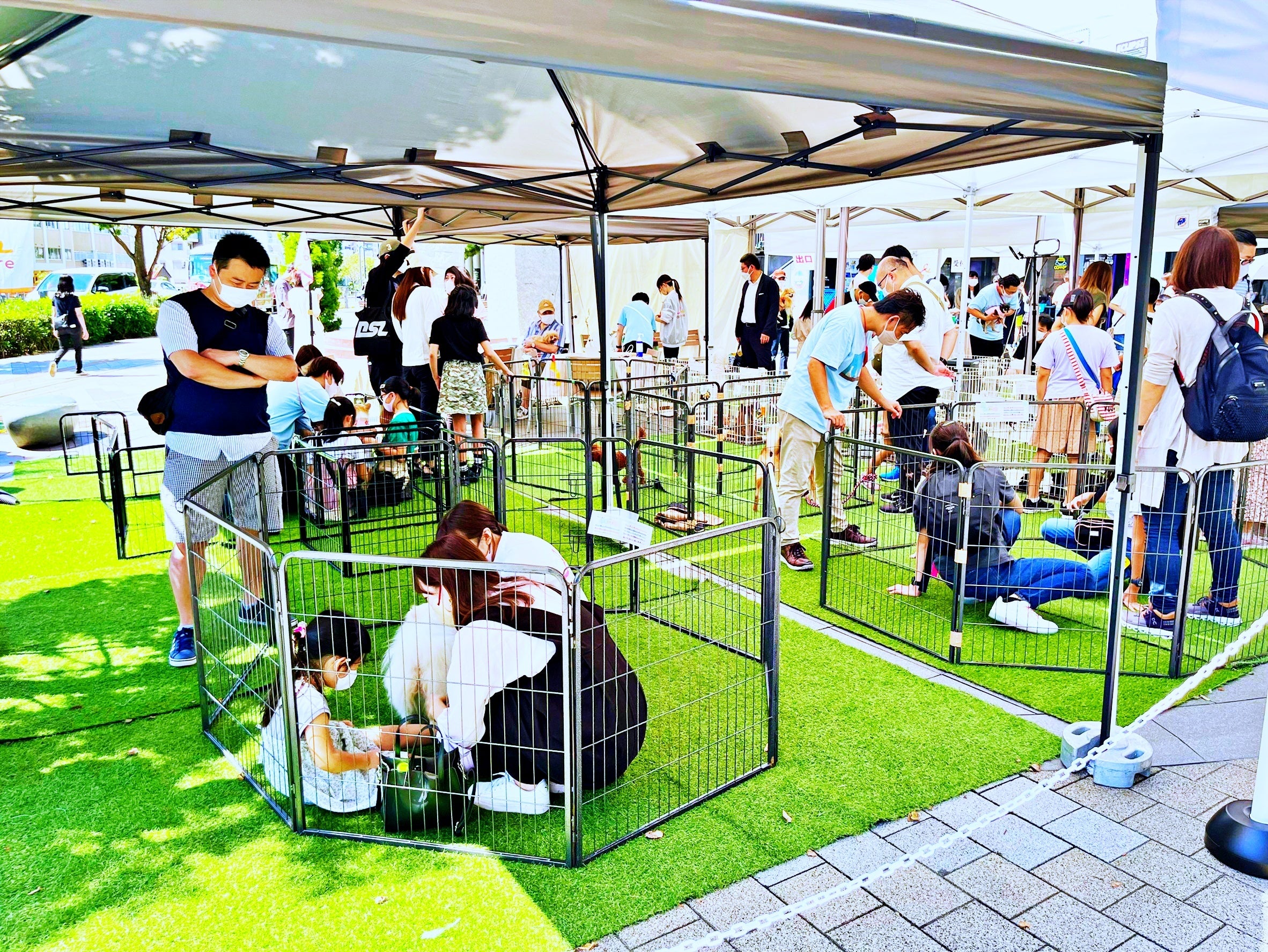 （画像はイメージです）