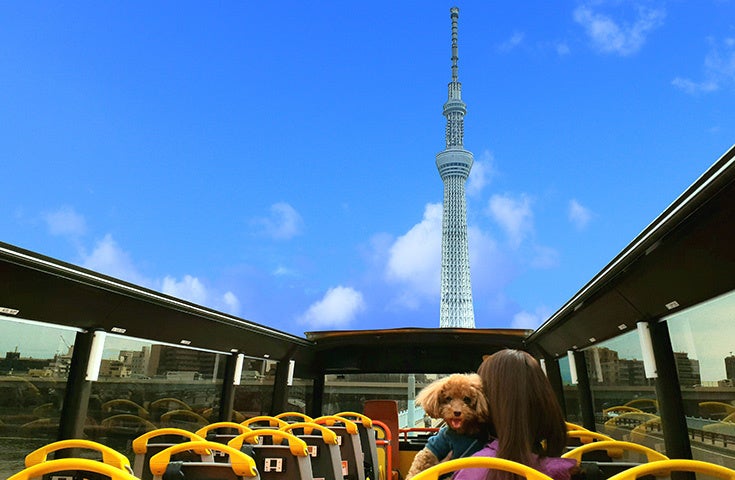 ベストショットの撮影も可能