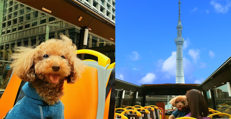 1月7日　ponta様②　7台 ponta shiokaze (@ponta_shiokaze) / X