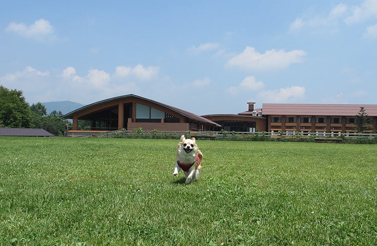 広々ドッグラン
