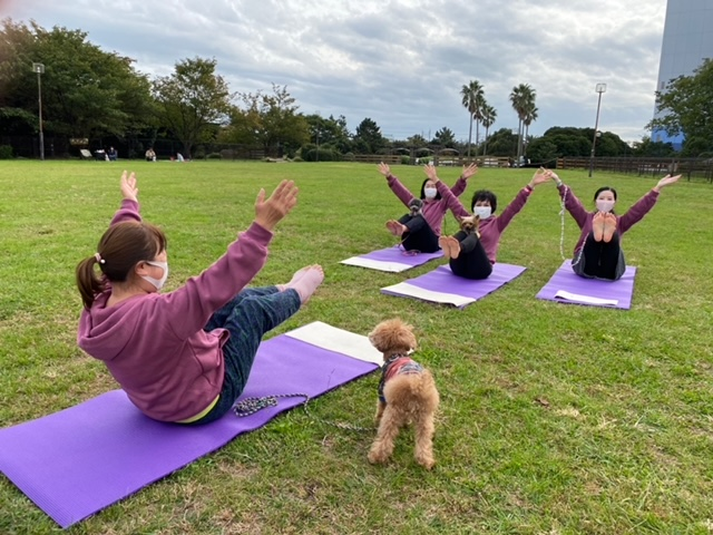 ドッグヨガイメージ