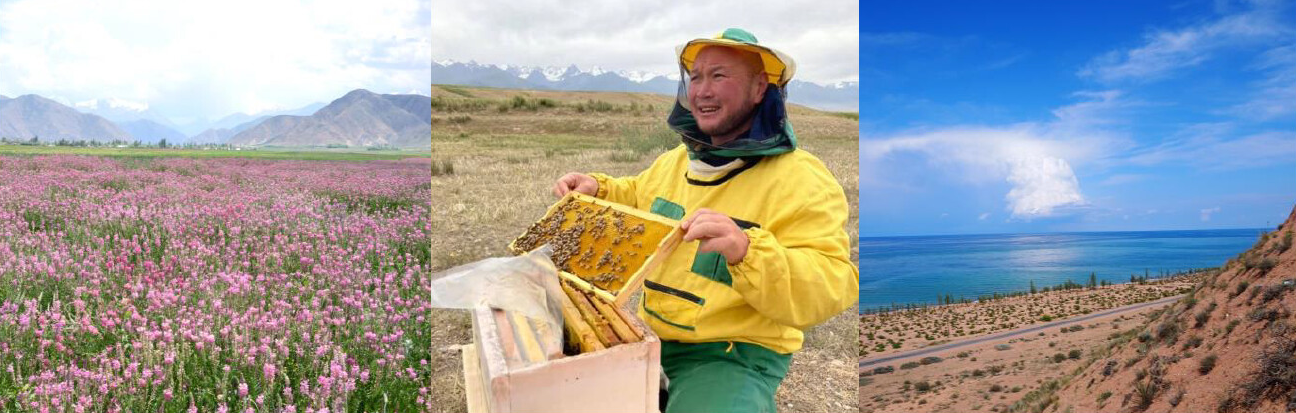 大丸神戸店 エスパルセットハニー キルギスのはちみつ展 期間限定ショップを展開 開発途上国の経済発展を応援しませんか 株式会社 大丸 松坂屋百貨店のプレスリリース