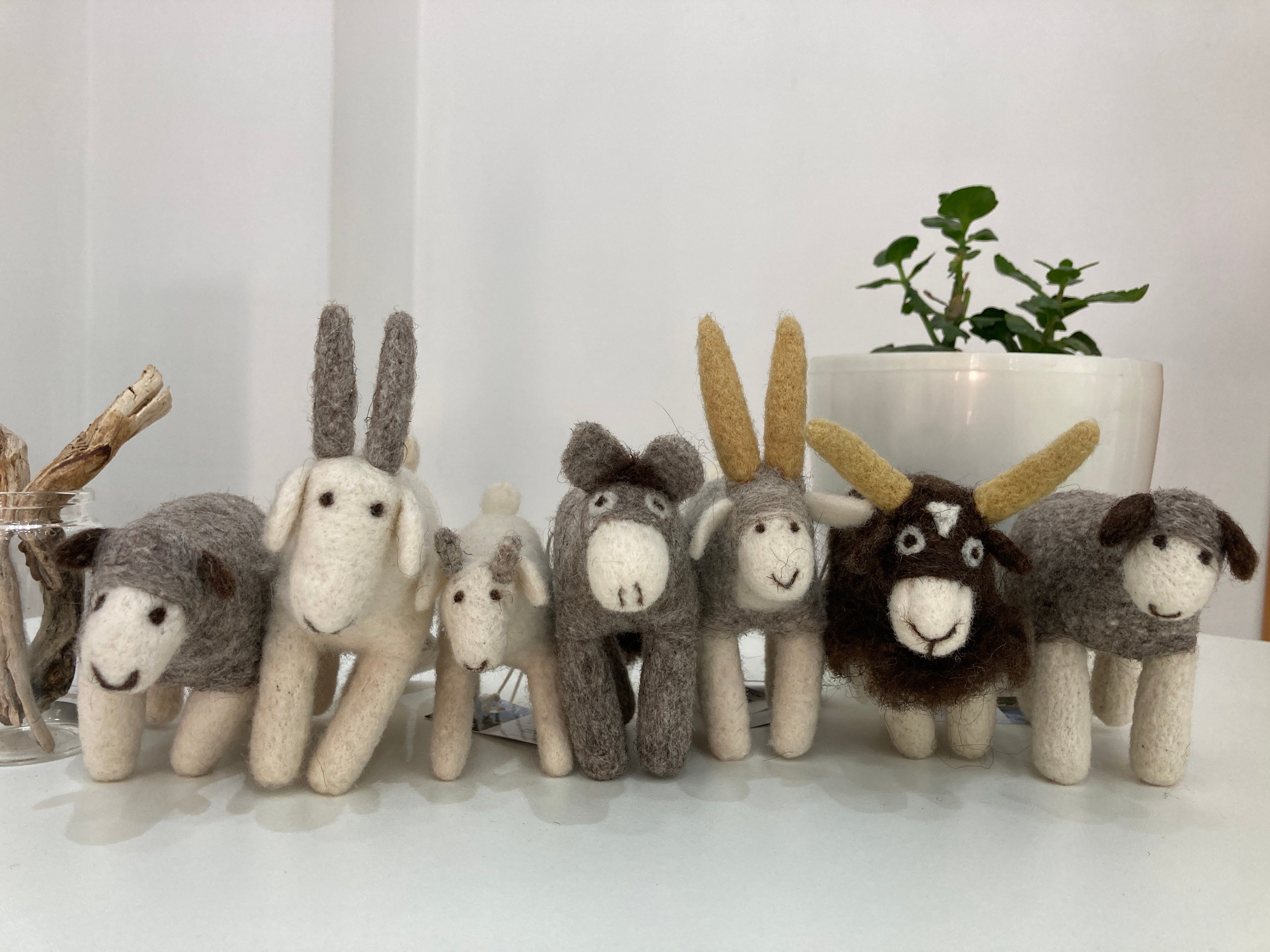 大丸神戸店】「エスパルセットハニー キルギスのはちみつ展