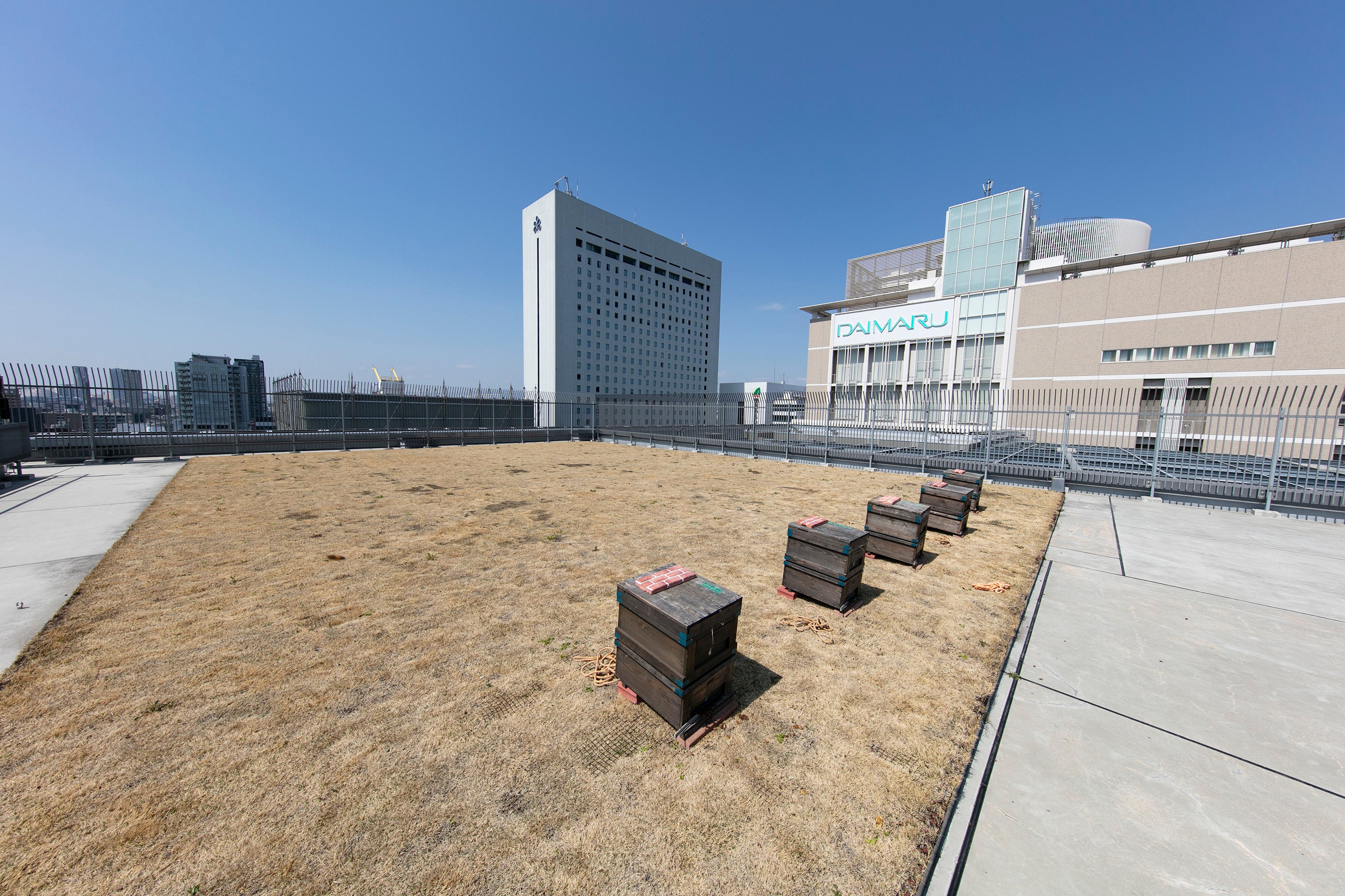 大阪のど真ん中にミツバチたちが帰ってくる 大丸心斎橋店 心斎橋はちみつプロジェクト 第二弾いよいよ始動 環境や地域共生を考えた都市養蜂 株式会社 大丸松坂屋百貨店のプレスリリース