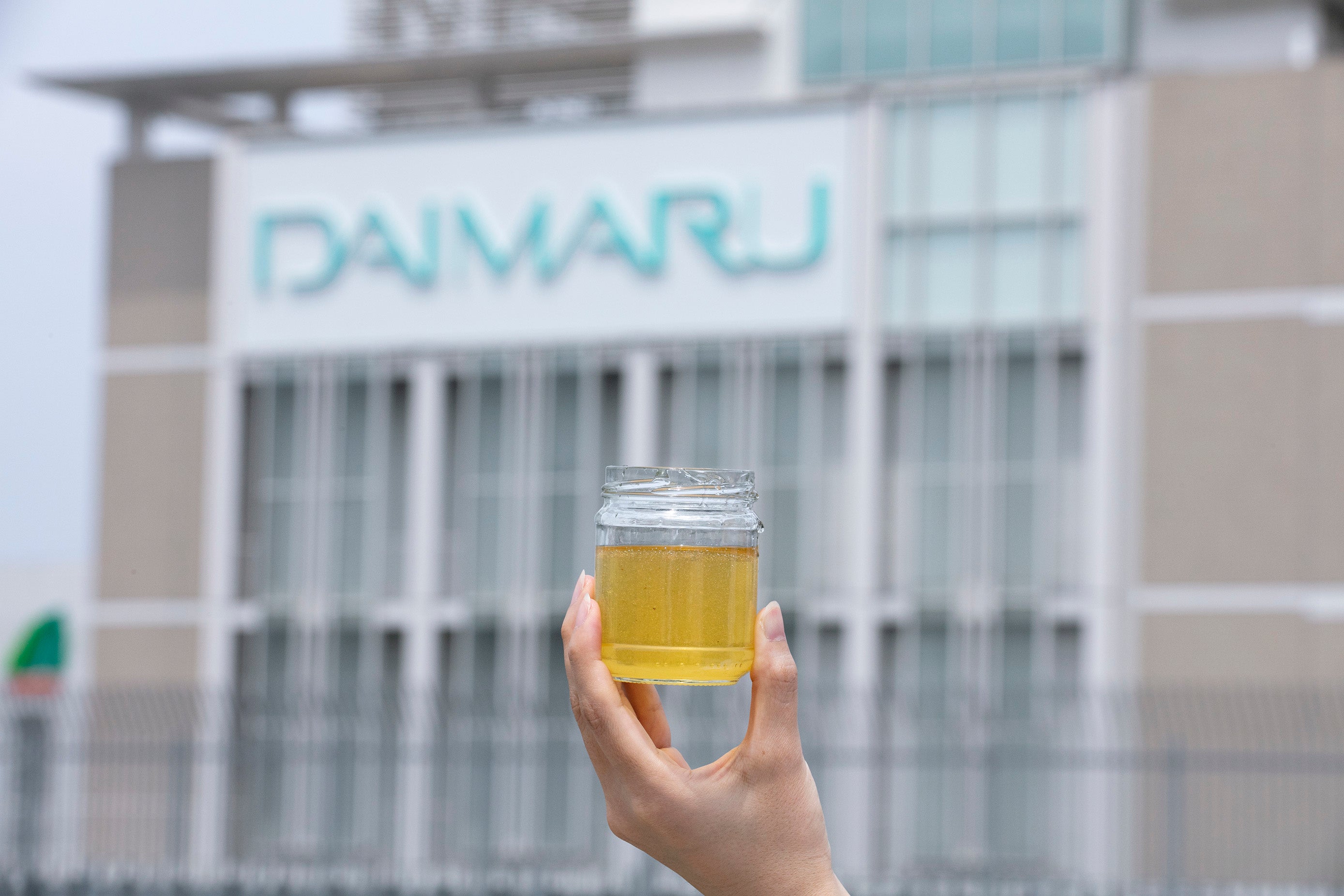 大阪のど真ん中にミツバチたちが帰ってくる 大丸心斎橋店 心斎橋はちみつプロジェクト 第二弾いよいよ始動 環境や地域共生を考えた都市養蜂 株式会社 大丸松坂屋百貨店のプレスリリース