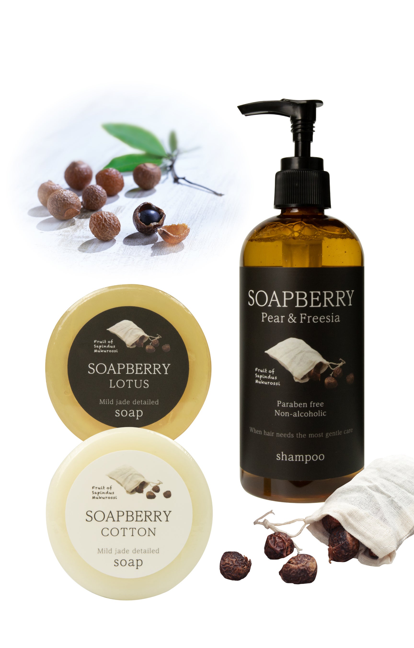 古宝無患子（ふるたからむくろじ）