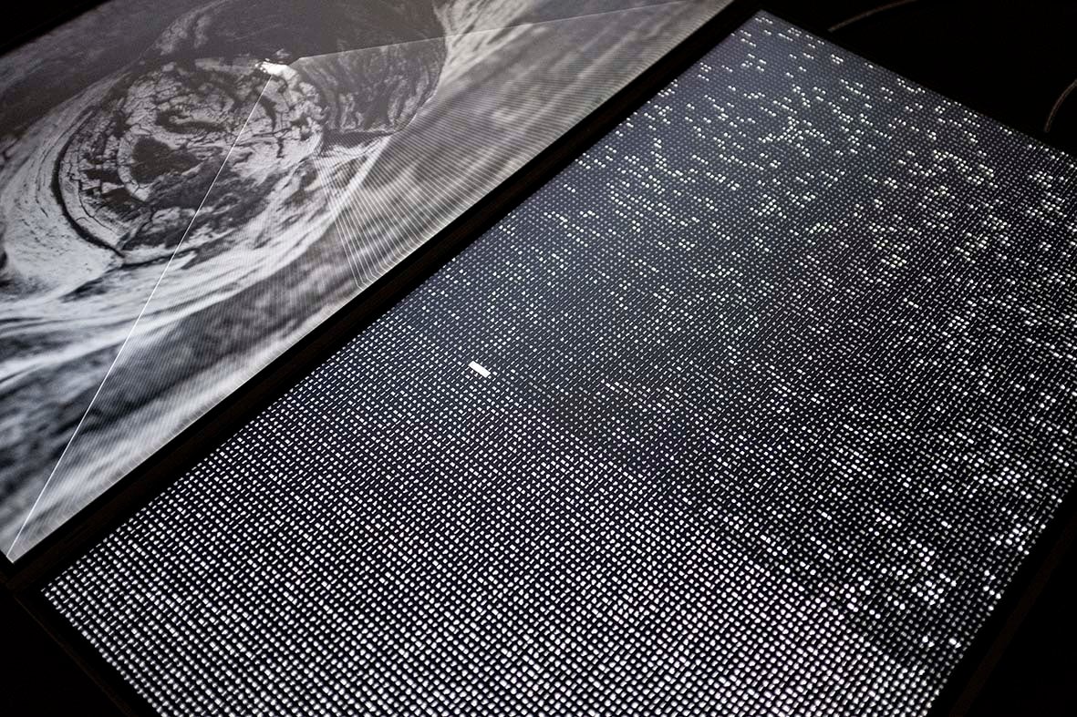 （non)semantic process