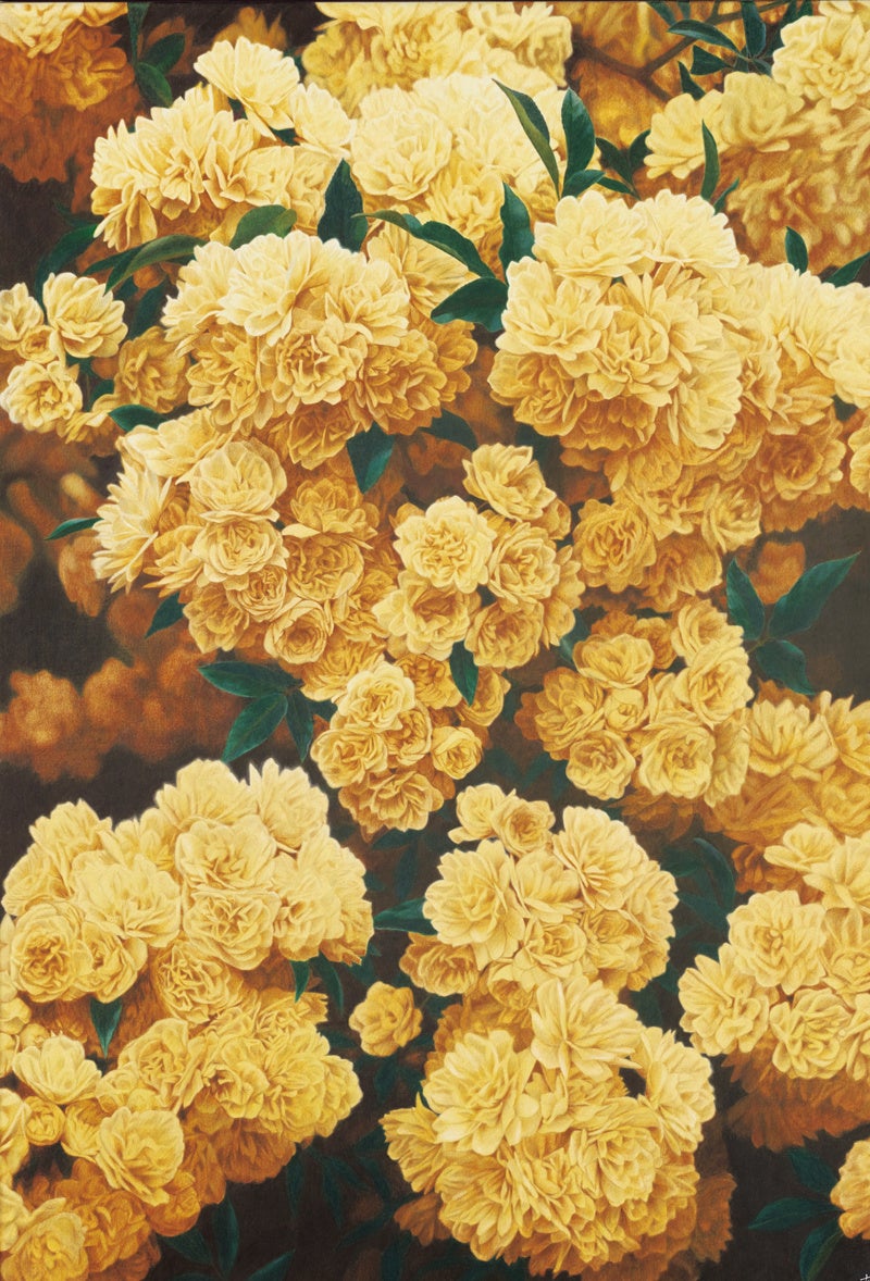 《モッコウバラ》 2000、 色鉛筆／紙、みぞえ画廊