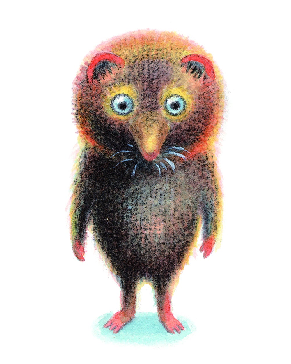 ちいさなトガリネズミ