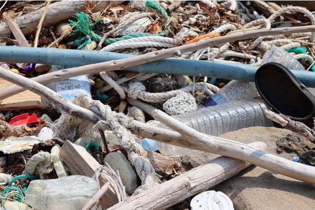 海洋プラスチックごみ