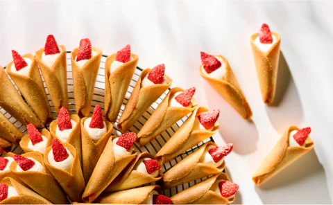 9040オードリーおまとめ商品 オードブル容器 Zシリーズ - 株式会社オリトモ