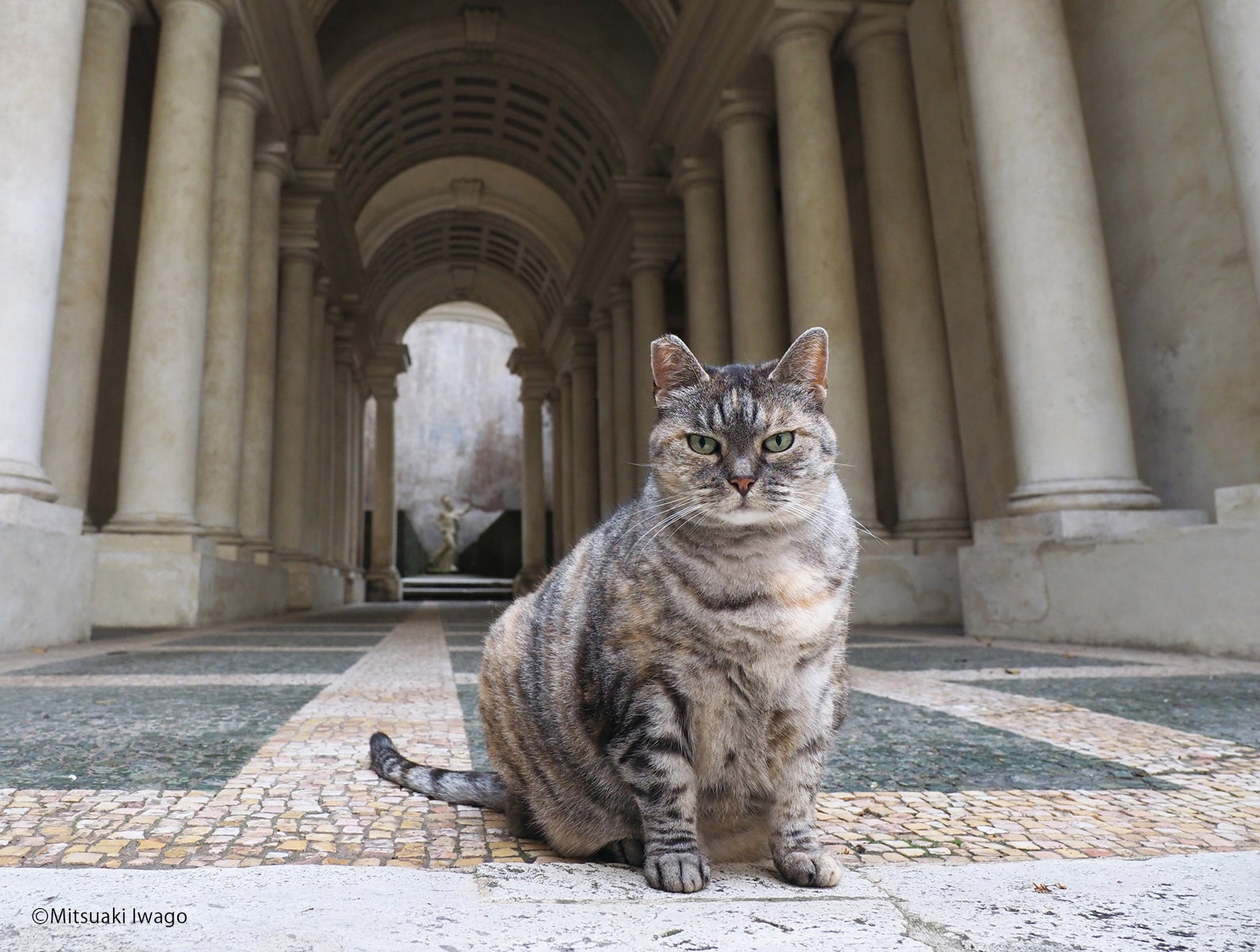 サークルアンコ to loveる