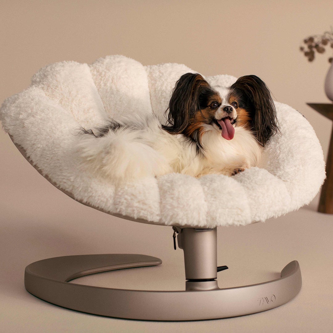 GENERATIONS 片寄涼太さん 中務裕太さんをゲストに迎え『chay, like