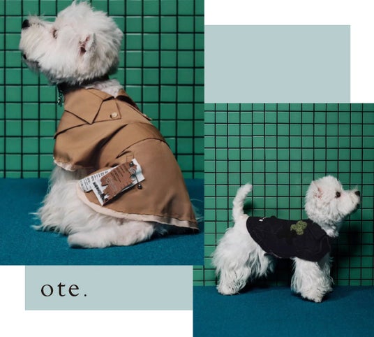 〈松坂屋名古屋店〉【初開催】THE LUXURY TIME WITH DOG Produced by ワンラブ 〈松坂屋名古屋店〉【初開催】THE LUXURY TIME WITH DOG Produced by ワンラブ