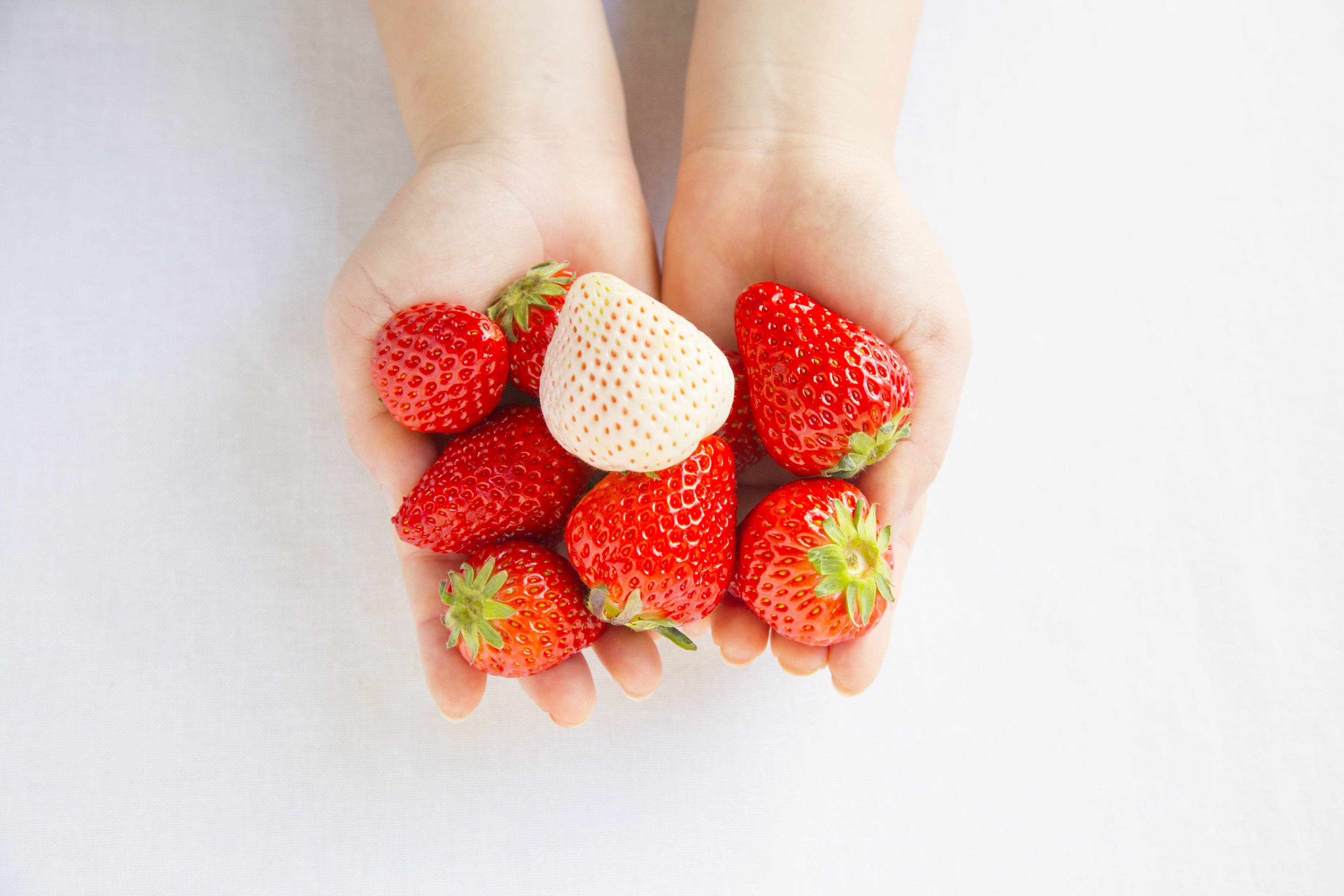 画像はイメージです