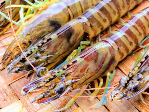 食べチョクが お歳暮 冬ギフト22 特集を開設 生きたまま届く活車海老 や極上メロンなど 全国の産直ギフトで一年間の感謝の気持ちを伝えよう 株 ビビッドガーデン 食べチョクのプレスリリース