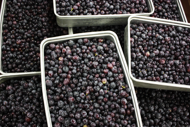 1回の醸造に約400kg使用