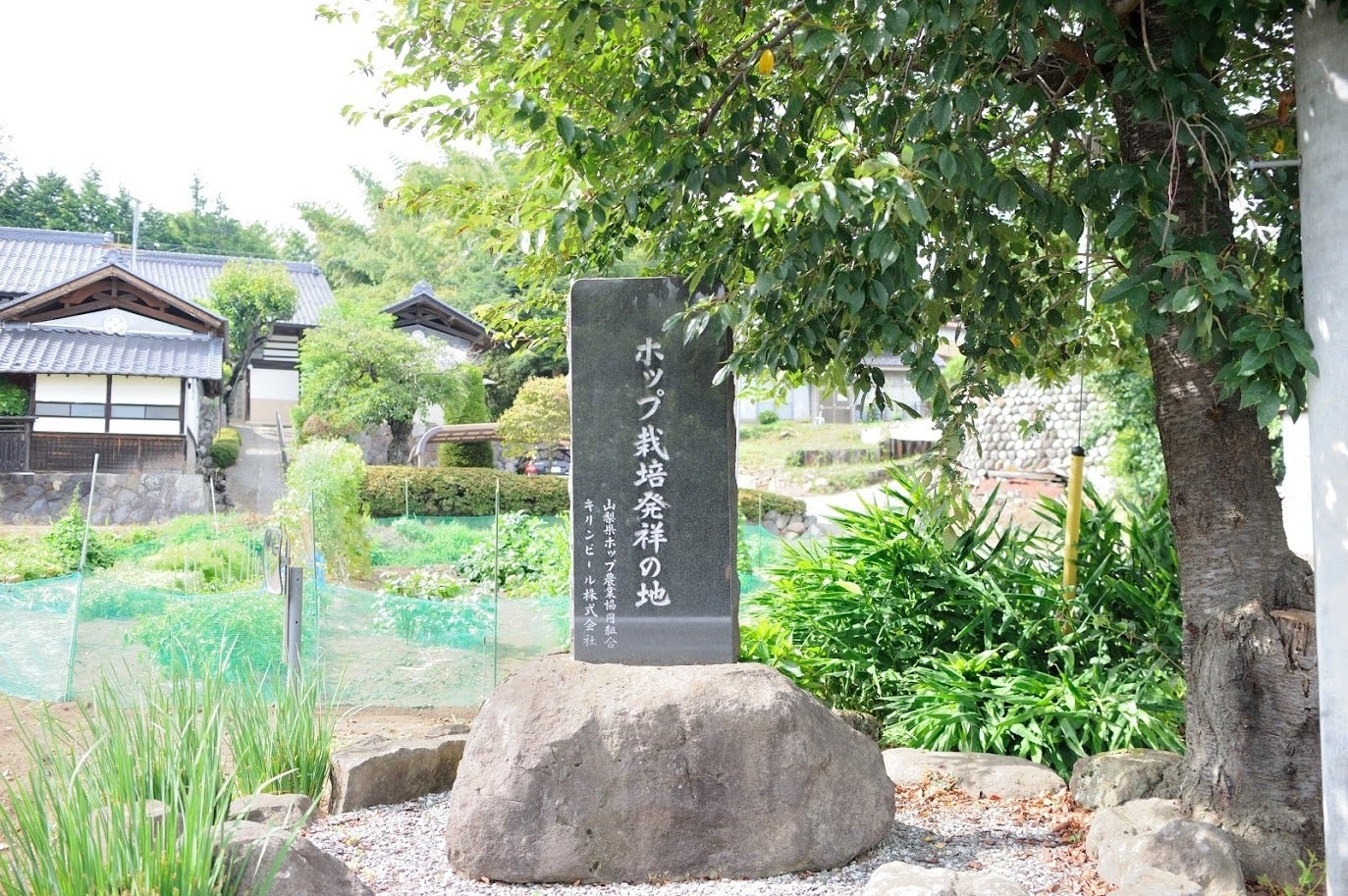 「ホップ栽培発祥の地」の記念碑