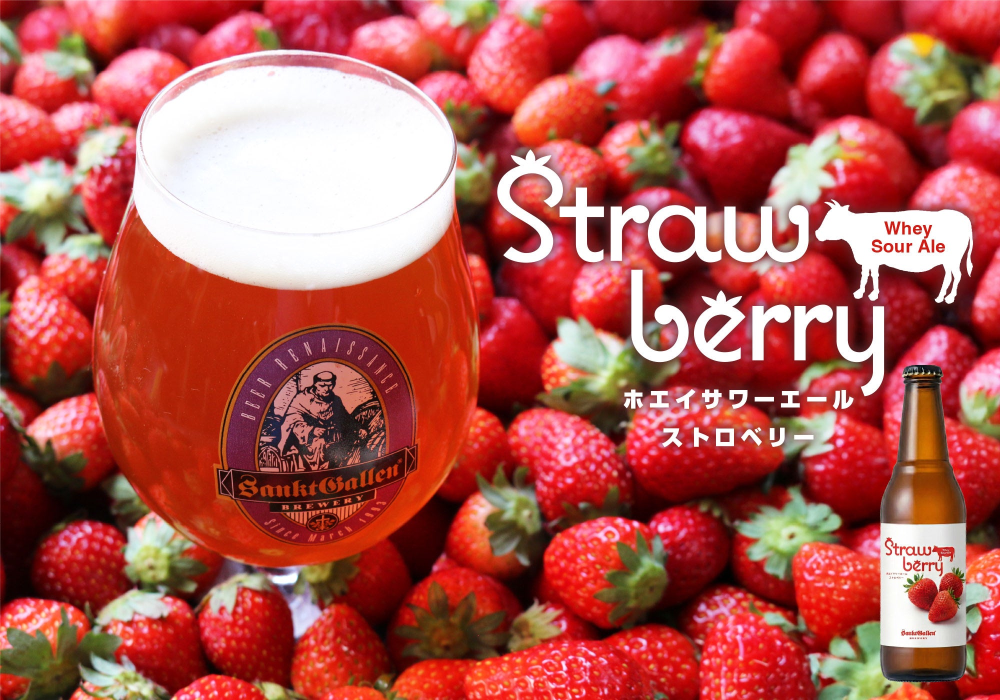 ホエイサワーエール ストロベリー