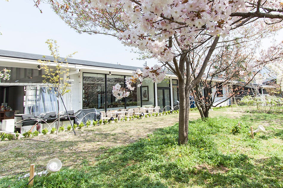 植物園には店内からの入園も可能