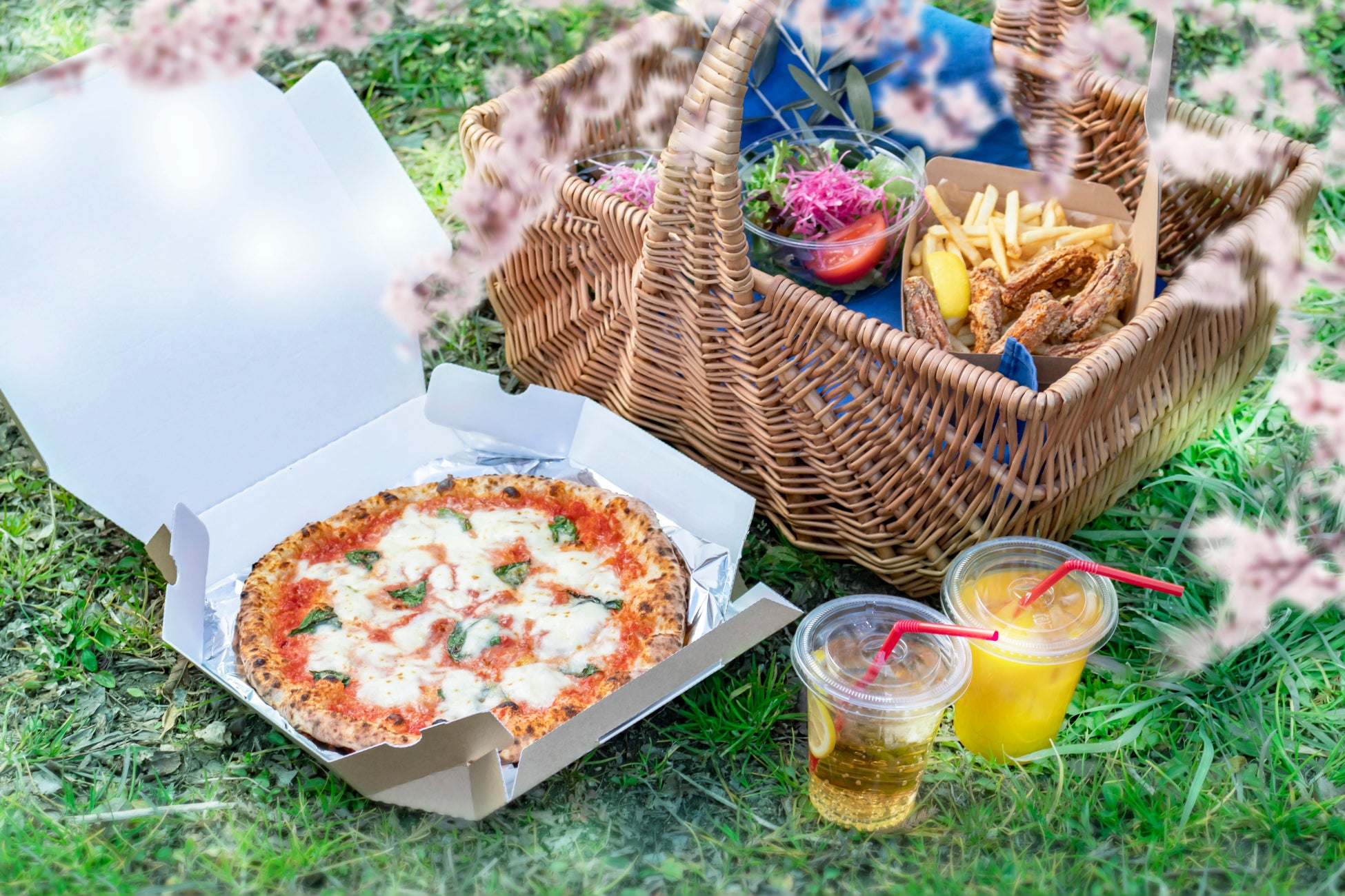 春を楽しむ手ぶらピクニック 焼き立ての本格ナポリピッツァがセットになったオリジナル Picnic Box が初登場 京都府立植物園横 In The Green にて2 24 発売開始 株式会社バルニバービのプレスリリース 春を楽しむ手ぶらピクニック 焼き立ての本格ナポリピッツァがセットになったオリジナル Picnic Box が初登場 京都府立植物園横 In The Green にて2 24 発売開始 株式会社バルニバービのプレスリリース