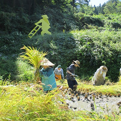 [新潟県十日町市]2022年度「まつだい棚田バンク」里親ミニコース (5平方メートル)
