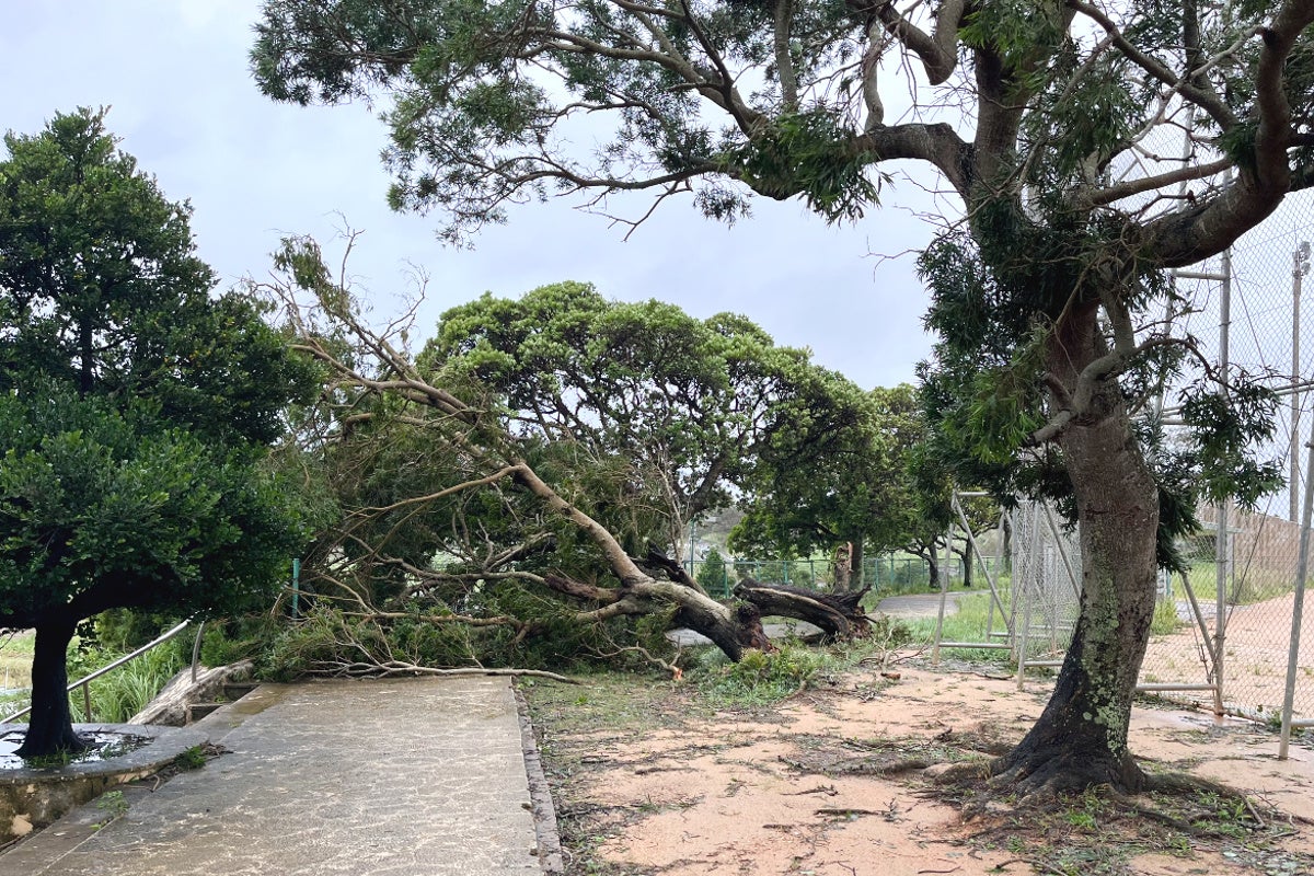 沖縄県八重瀬町