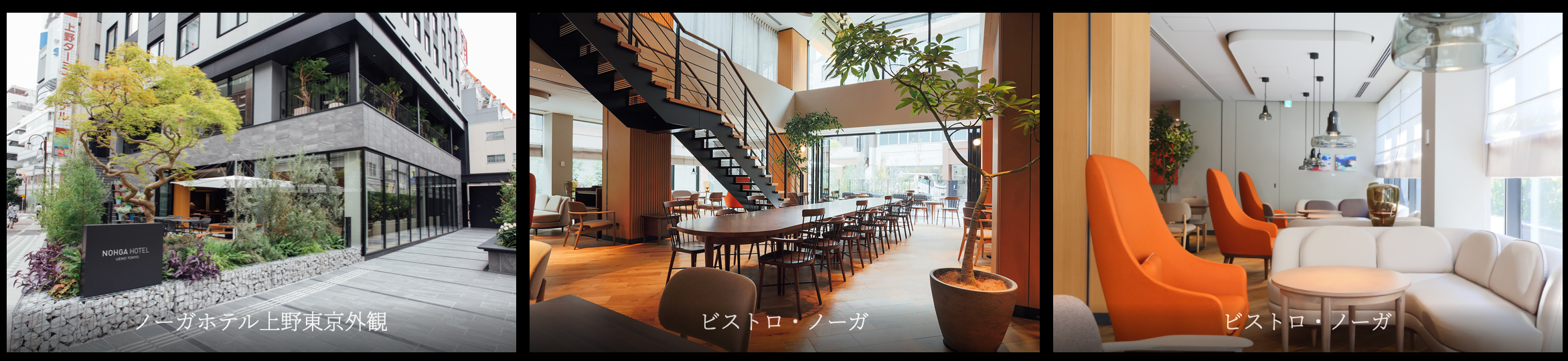 ノーガホテル上野