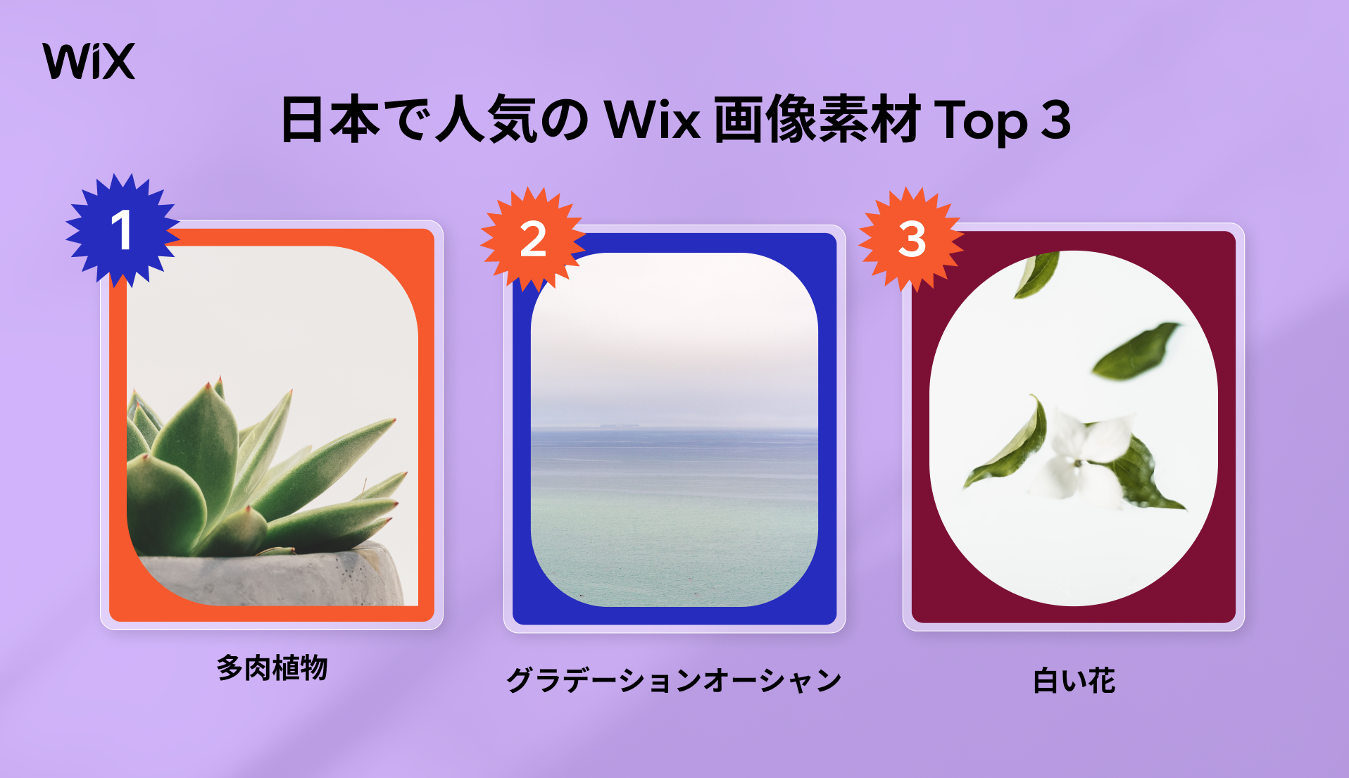 日本で人気の Wix 画像素材 Top 3