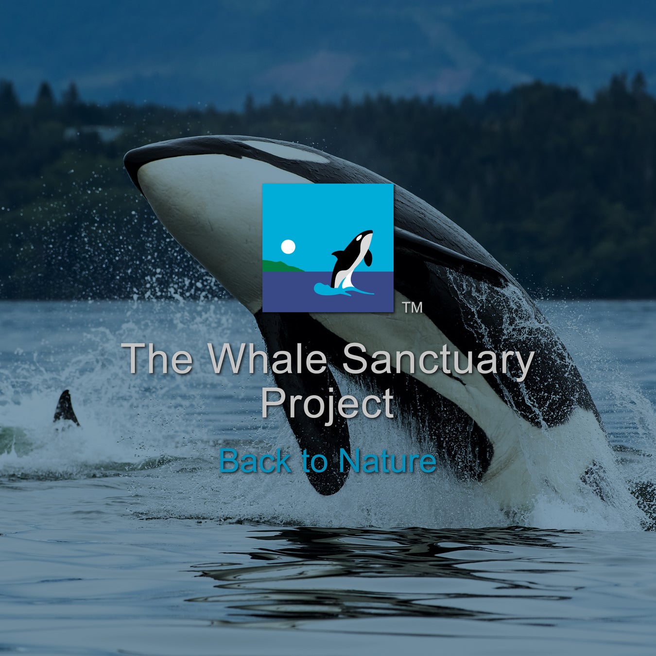 WHALE SANCTUARY PROJECT