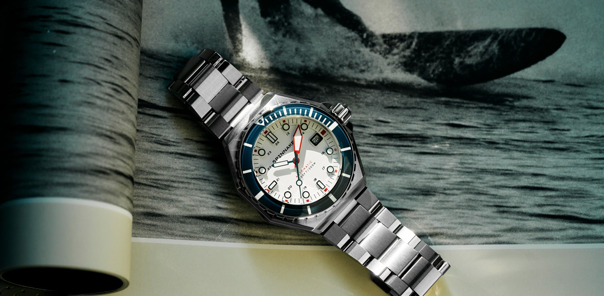 アテナータ　スーパーノヴァ　翡翠盤　アガベ　スーパーノバ アガベ アテナータ スーパーノヴァ 翡翠盤 アガベ アテナータ