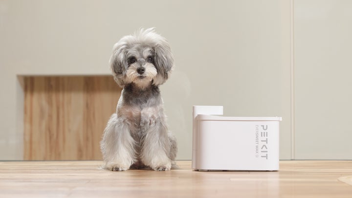 世界で500万人が愛用するペット家電ブランド PETKIT(ペットキット)が 世界で500万人が愛用するペット家電ブランド PETKIT(ペットキット)が