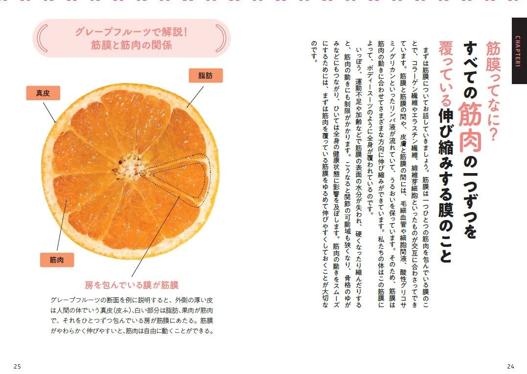 ↑筋膜と筋肉の関係を、フルーツを使ってわかりやすく解説。
