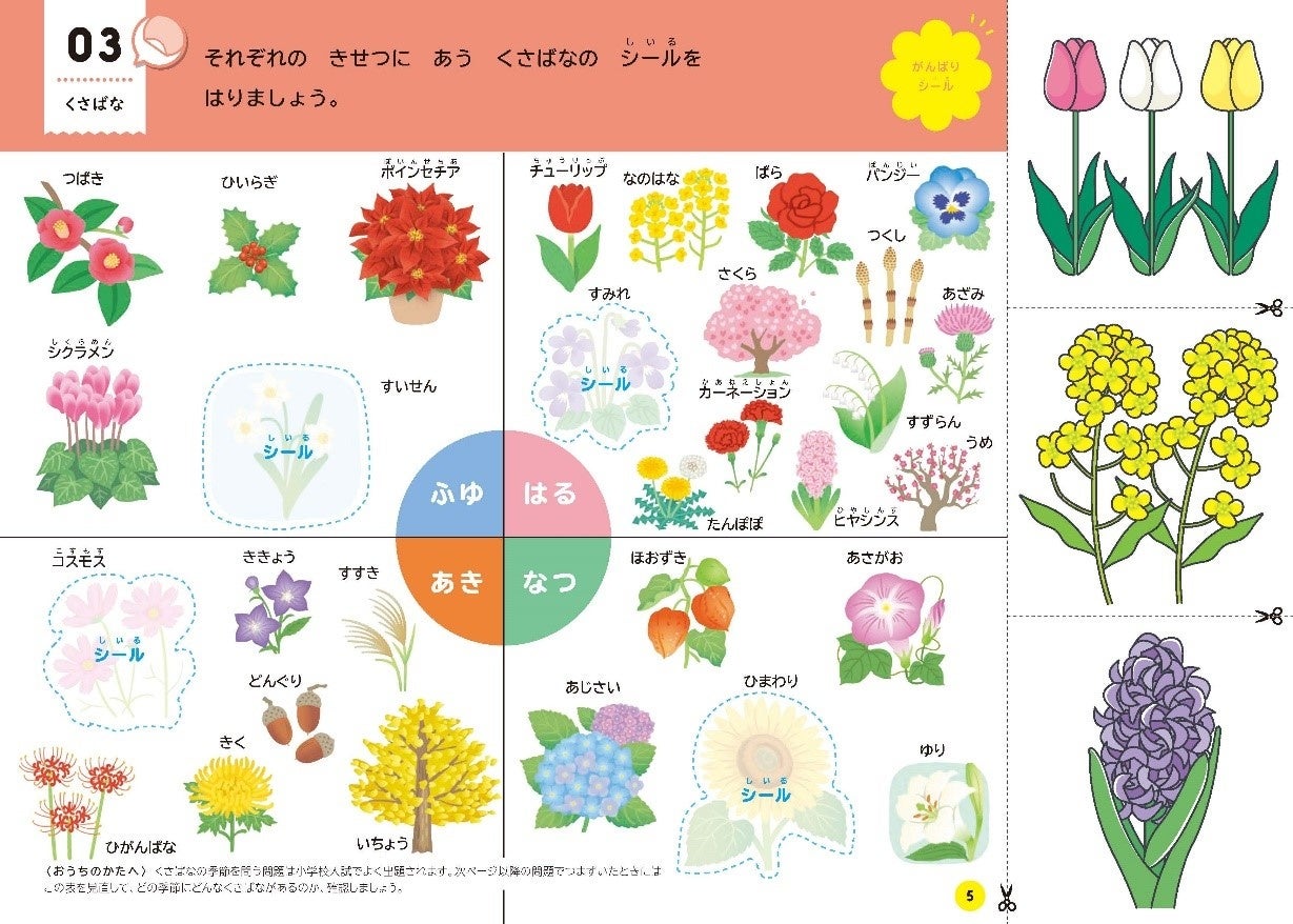 季節を楽しく学ぼう 有名小入試でも季節の問題が多数出題 3歳からできるワークが新発売 カード 模擬テストつき 株式会社 学研ホールディングスのプレスリリース 季節を楽しく学ぼう 有名小入試でも季節の問題が多数出題 3歳からできるワークが新発売 カード 模擬テストつき 株式会社 学研ホールディングスのプレスリリース